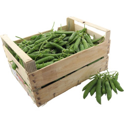 PETIT POIS FRAIS 5KG
